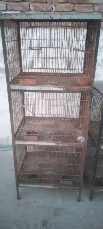 cages for new shelter 5