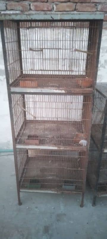 cages for new shelter 6