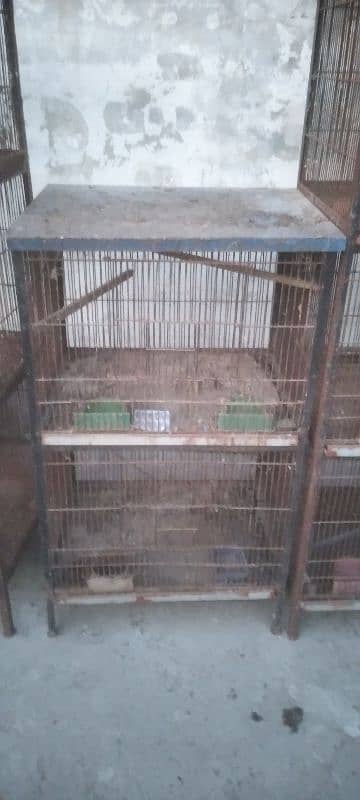 cages for new shelter 7