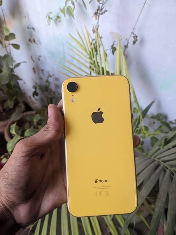 IPHONE XR 64GB DUAL SIM APPROVED 1