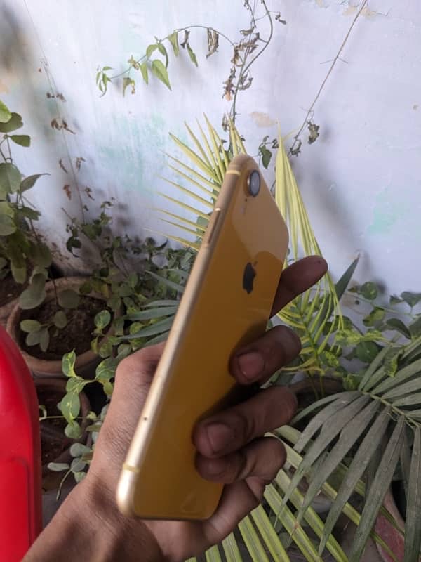 IPHONE XR 64GB DUAL SIM APPROVED 12