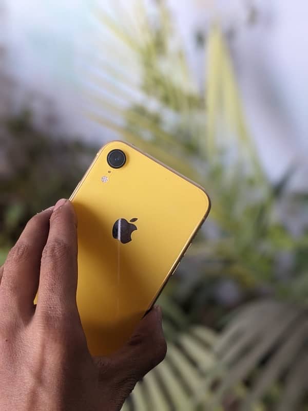 IPHONE XR 64GB DUAL SIM APPROVED 13