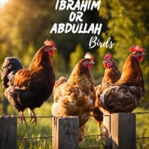 Ibrahim or Abdullah .1