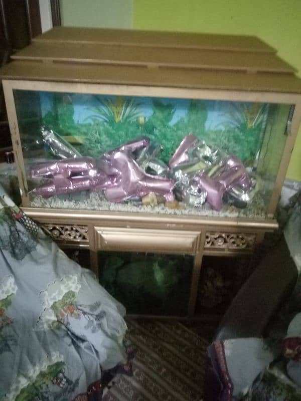 fish aqurium size 4 feet by 2 feet 0