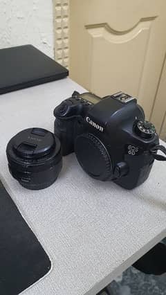 Canon 6D Full Frame with 50mm 1.8 STM