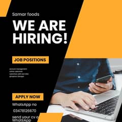 job opportunity for accountant salesman and Ghraphics Designr