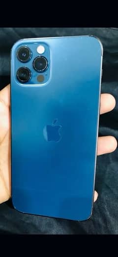 IPhone 12 Pro PTA approved  #0313/6477(804)