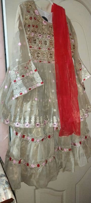 branded party wear gharara for 7 to 10 year baby 4