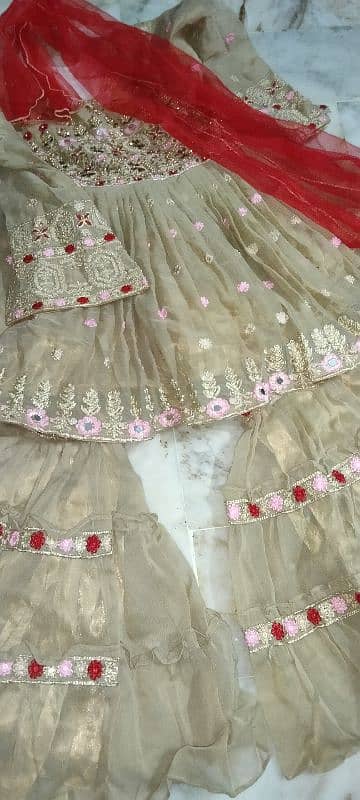 branded party wear gharara for 7 to 10 year baby 7