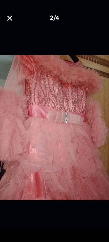 Pink Fary Maxy 2