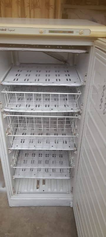 indesit tropical freezer for sale urgent 1