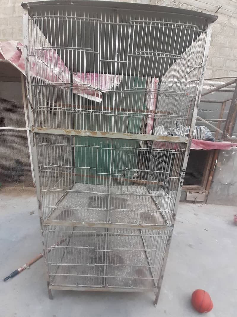 Cage Pinjra 2