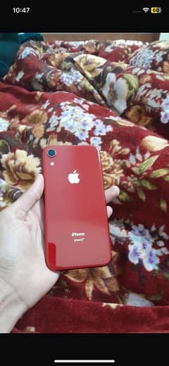 iPhone XR non pta