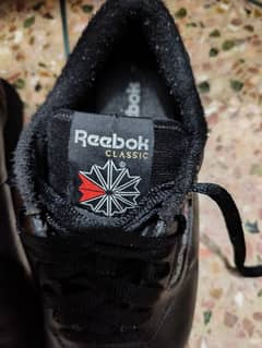 Reebok shoes