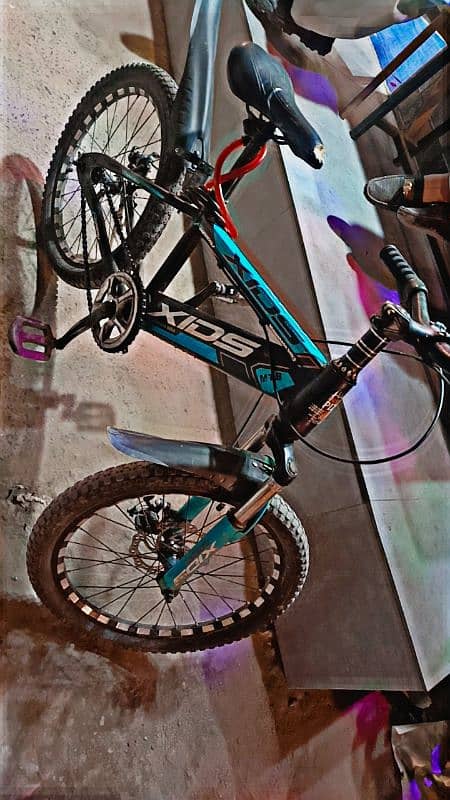 Bicycle Model XIDS 4