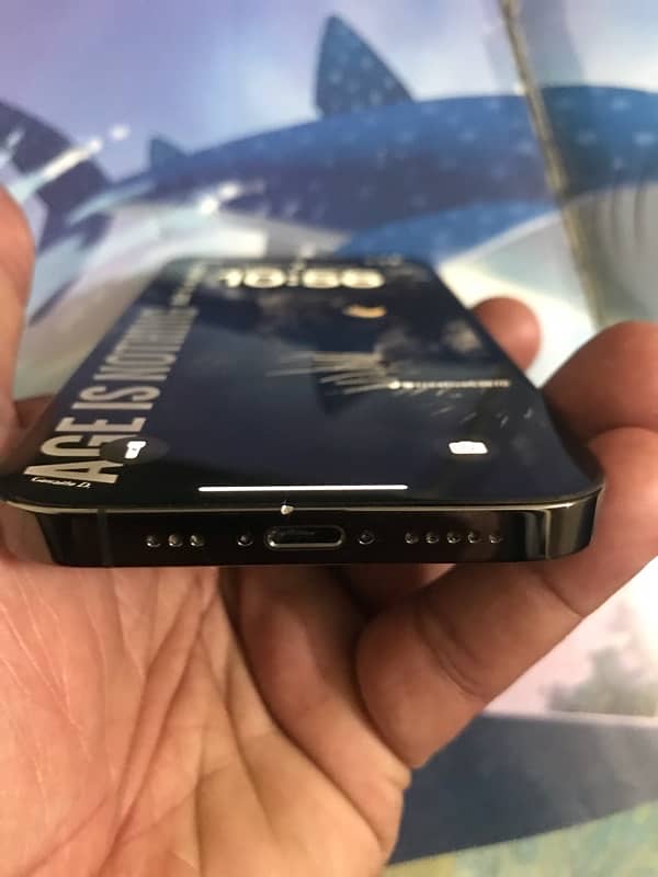 iPhone 12 Pro PTA Approved 6