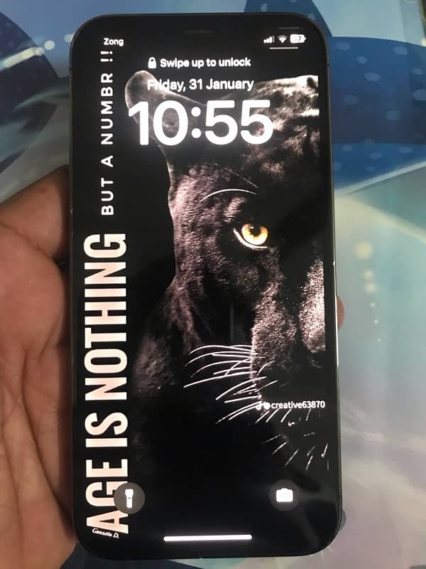 iPhone 12 Pro PTA Approved 10