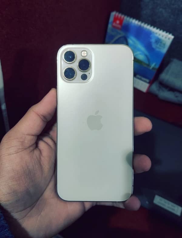 iPhone 12 Pro 0