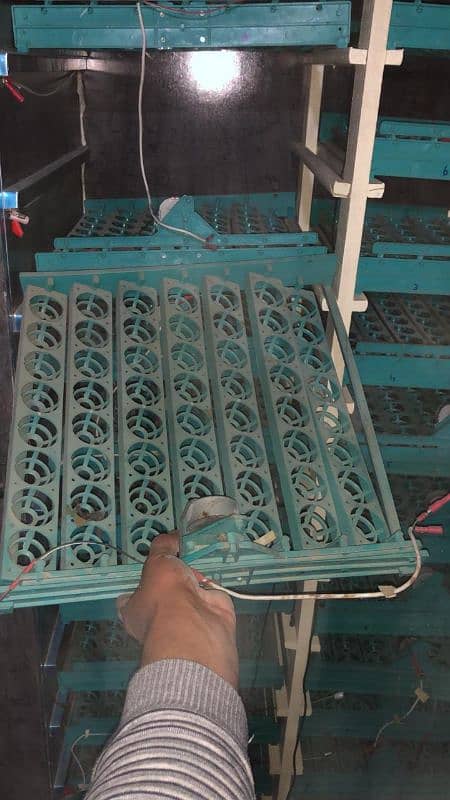 1120 egg incubator automatic urgent sale 3