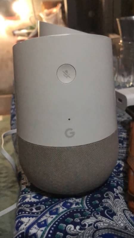 alexa and google home 1