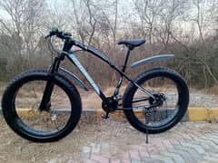 Roal Rider Fat bike for sale