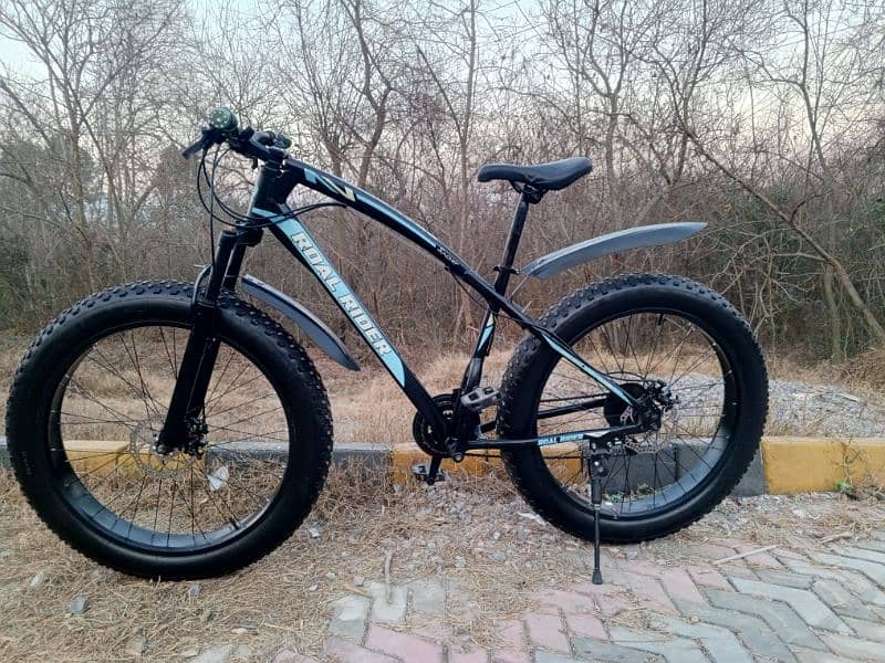 Roal Rider Fat bike for sale 0