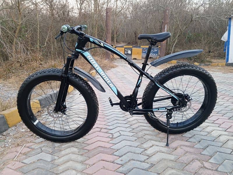 Roal Rider Fat bike for sale 1