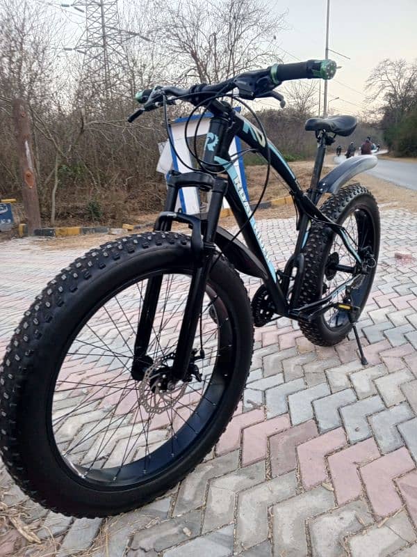 Roal Rider Fat bike for sale 5