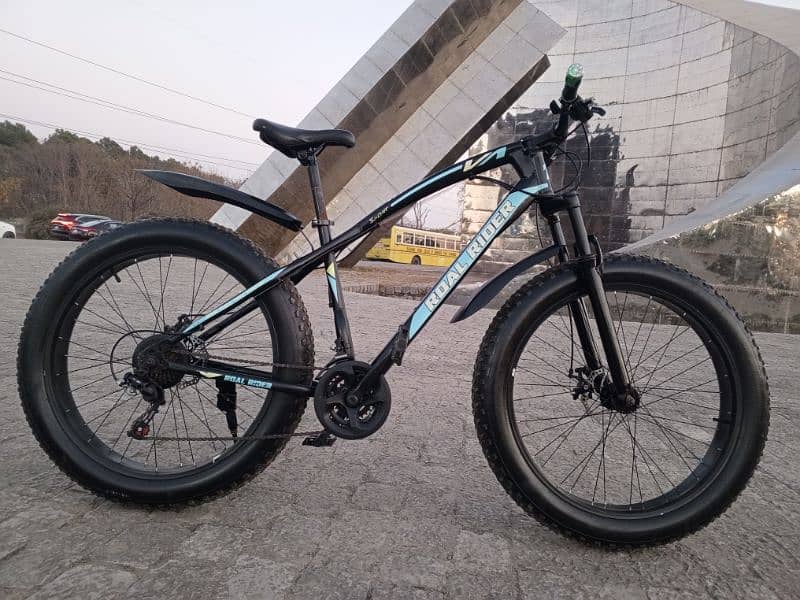 Roal Rider Fat bike for sale 6