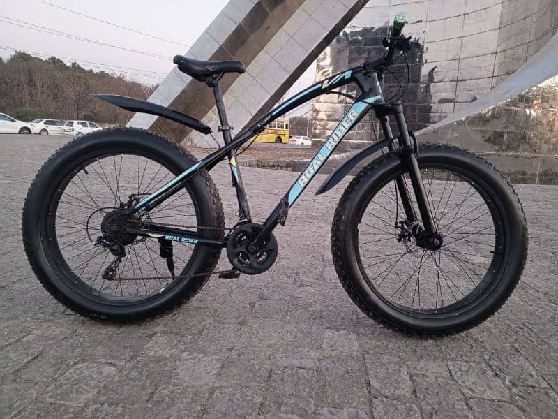 Roal Rider Fat bike for sale 7