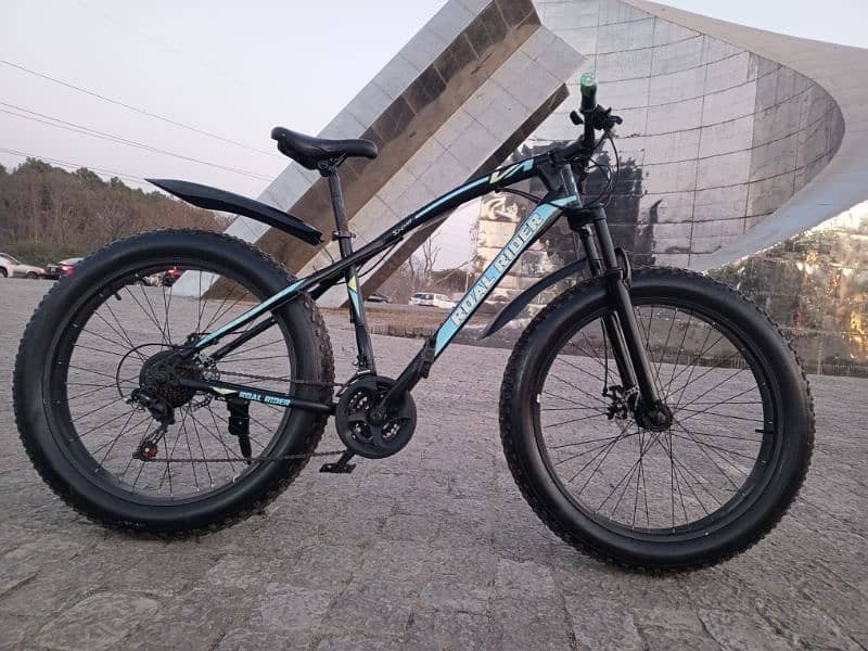 Roal Rider Fat bike for sale 9