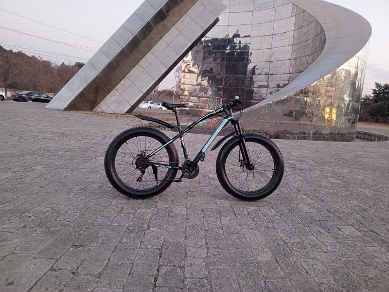 Roal Rider Fat bike for sale 10