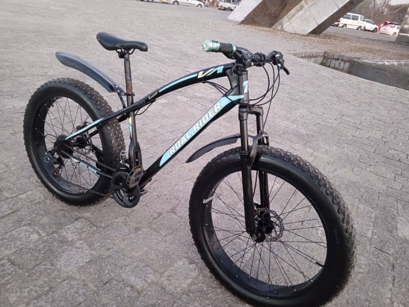 Roal Rider Fat bike for sale 13