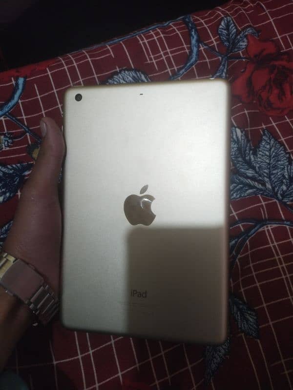 iPad mini 3. rat finel 0