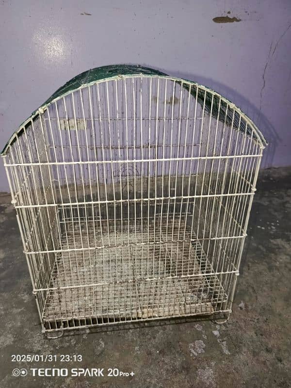 bird cage 0