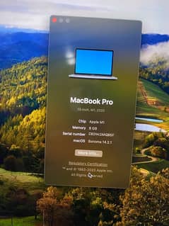 Macbook M1 Pro 2020 (13 inch)