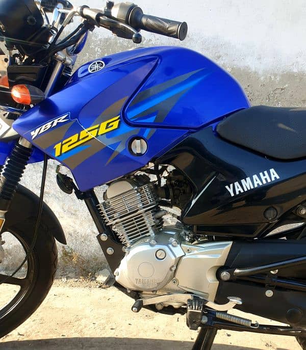 YAMAHA YBR 125 G /2019 1