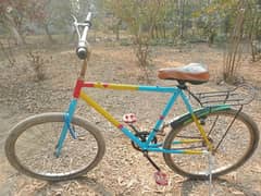 Phoenix  Cycle for Sale