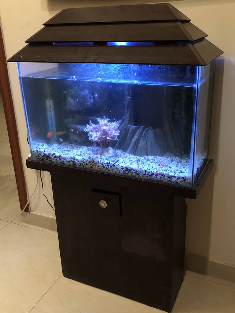 Fish Aquarium 1