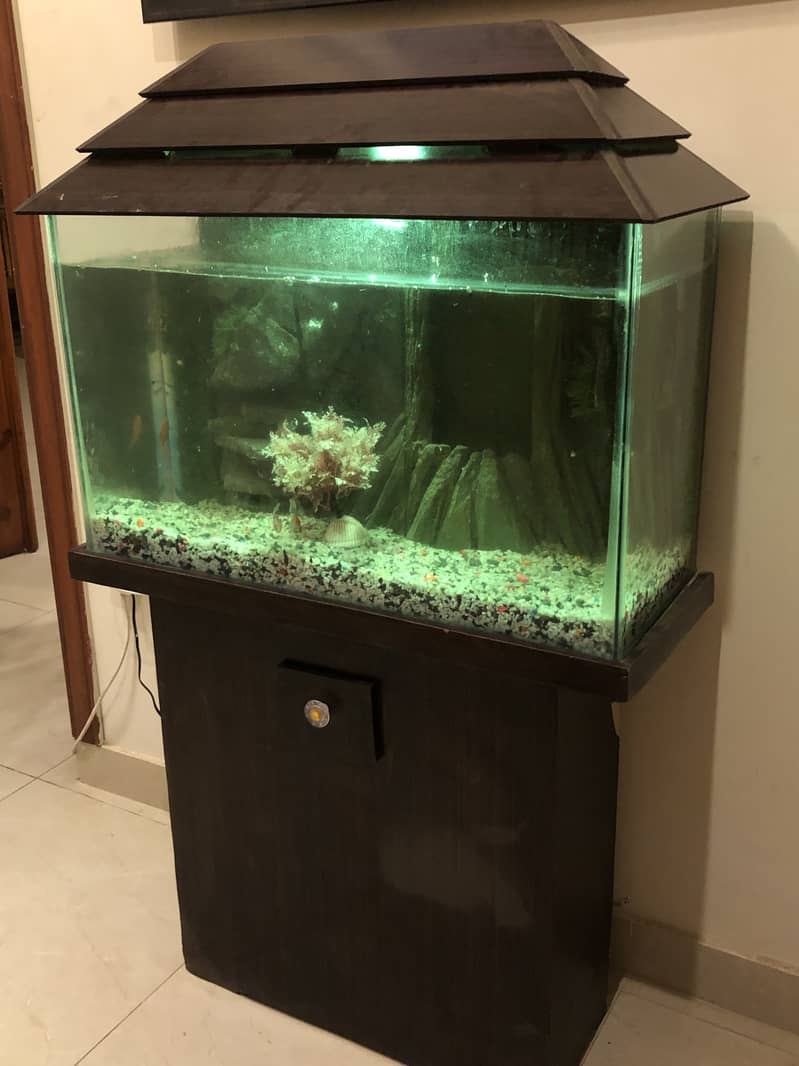 Fish Aquarium 3