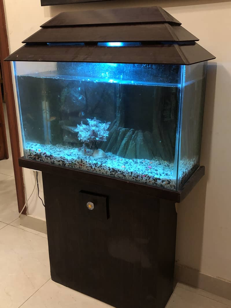 Fish Aquarium 4