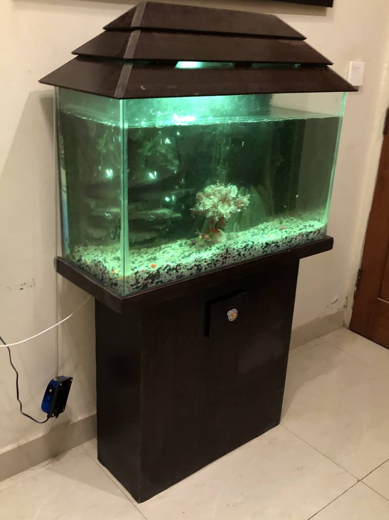 Fish Aquarium 5