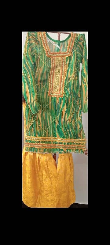 Beautiful 3 piece Georgette & Banarsi Dress 2