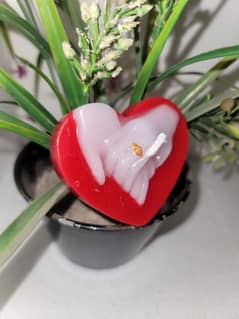 valentine day heart candle