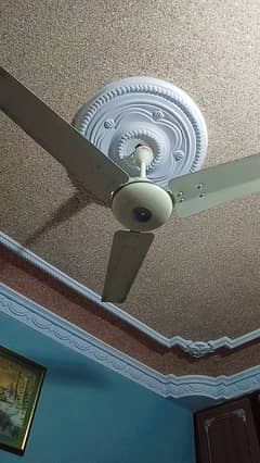 Royal Ceiling Fan