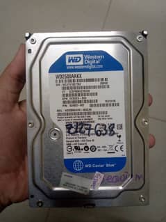 250 GB SAMSUNG/WD HARD DRIVES