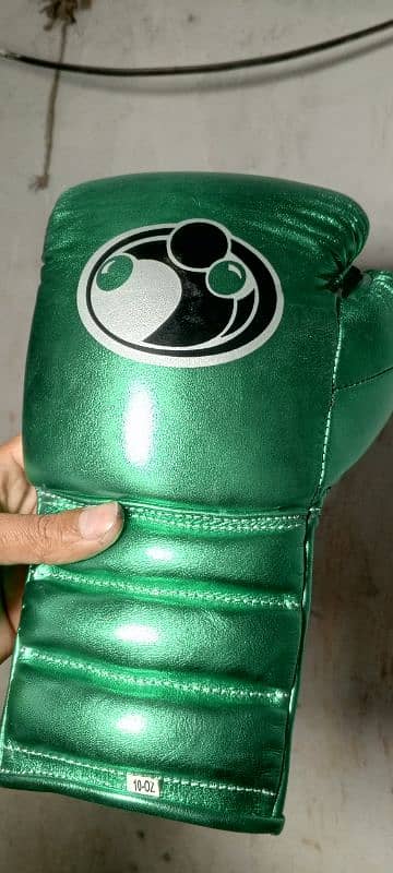 Raxene Leather Boxing Gloves 0