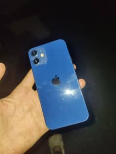 I phone 12 mini