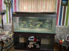 full size fish aquarium