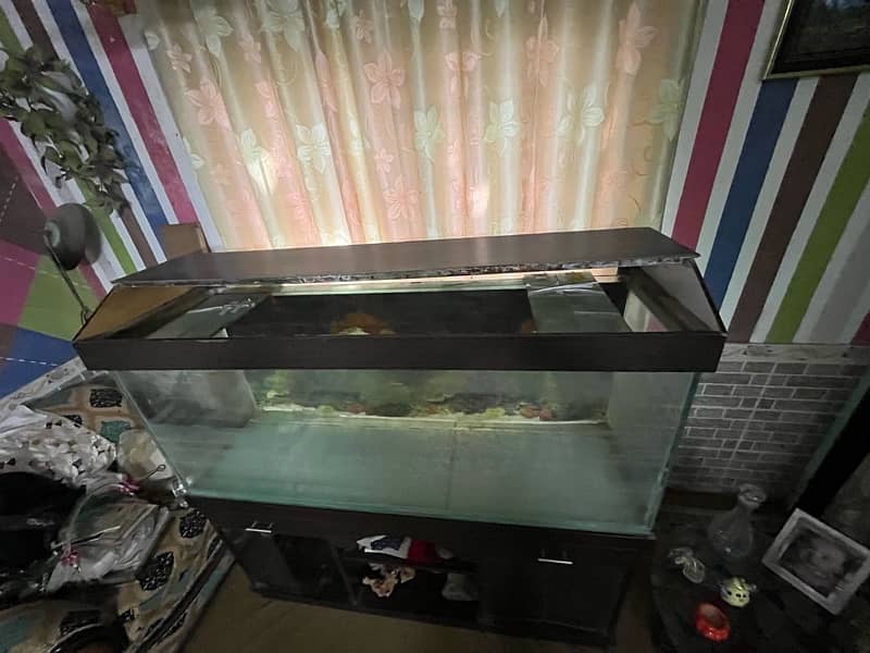 full size fish aquarium 2